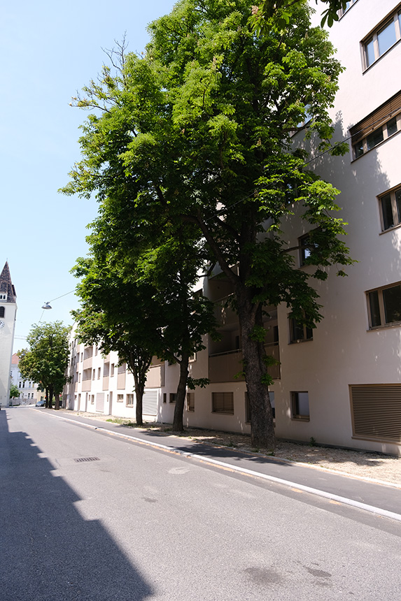 Cumberlandstraße-38-4
