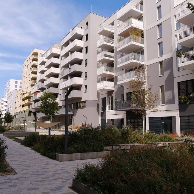 Bruno-Marek-Allee / Schweidlgasse | Kern + Ing